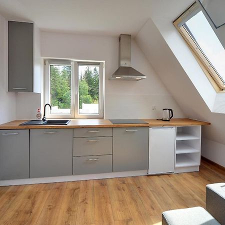 Apartamento Mega Widok Szklarska Poręba Exterior foto